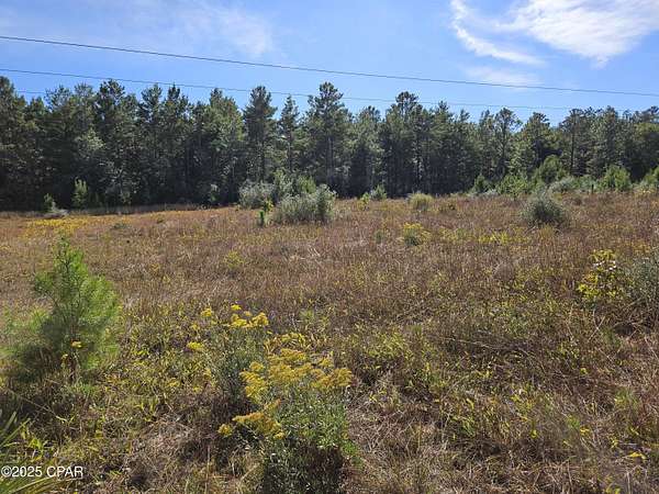 5.5 Acres of Land for Sale in DeFuniak Springs, Florida