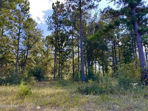 1.14 Acres of Land for Sale in Marianna, Florida