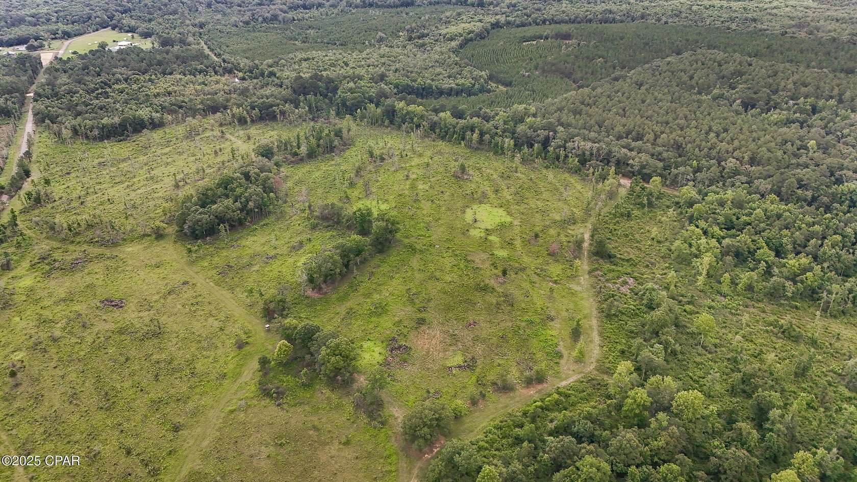 17 Acres of Agricultural Land for Sale in Graceville, Florida