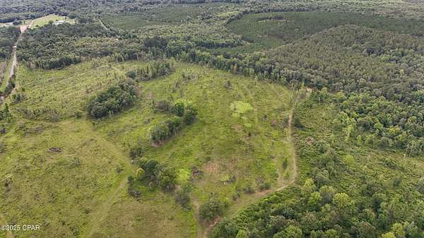 17 Acres of Agricultural Land for Sale in Graceville, Florida