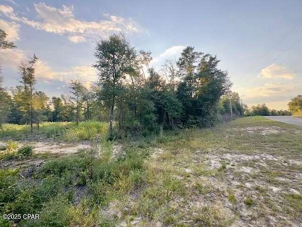 1.13 Acres of Residential Land for Sale in Alford, Florida