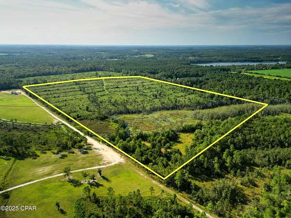 55 Acres of Land for Sale in Westville, Florida