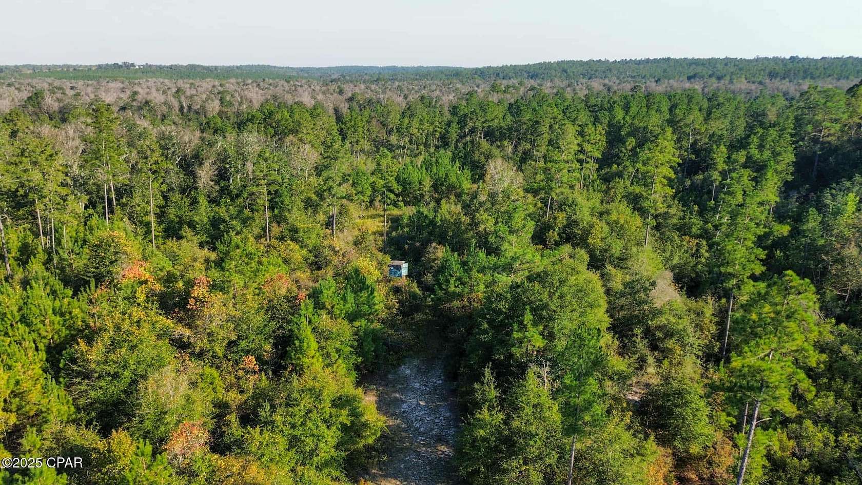 225 Acres of Recreational Land for Sale in Alford, Florida