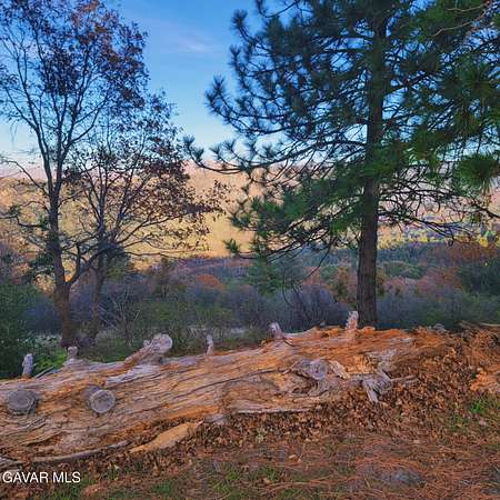 0.23 Acres of Commercial Land for Sale in Crestline, California