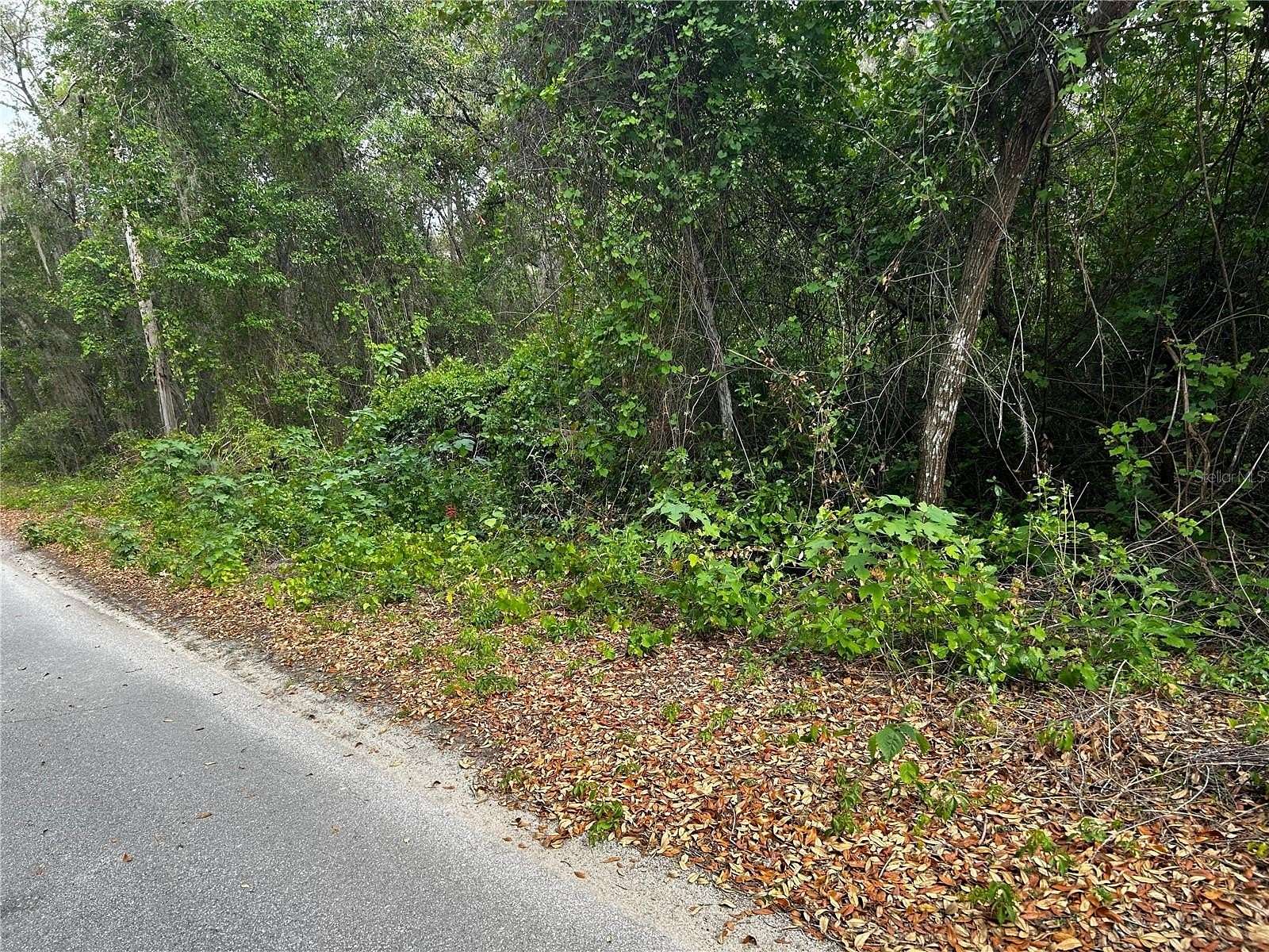0.19 Acres of Residential Land for Sale in Ocklawaha, Florida