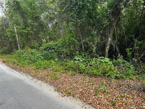 0.19 Acres of Residential Land for Sale in Ocklawaha, Florida
