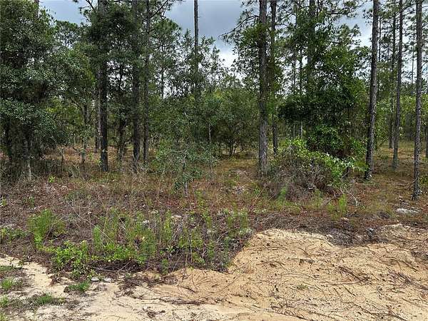 0.24 Acres of Residential Land for Sale in Dunnellon, Florida