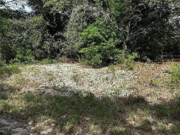 0.24 Acres of Residential Land for Sale in Dunnellon, Florida