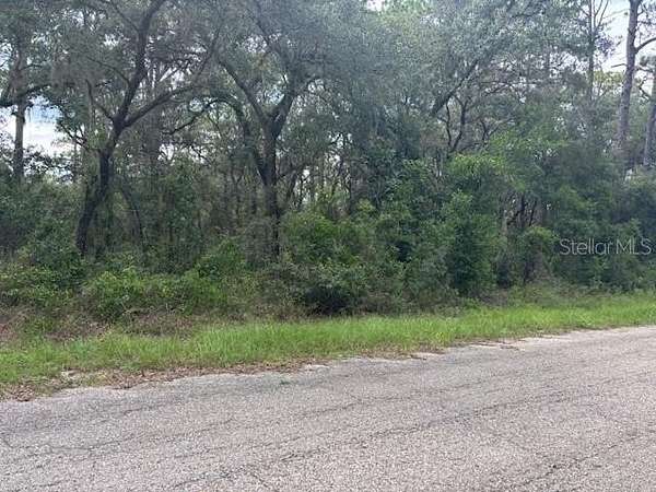 1 Acre of Residential Land for Sale in Dunnellon, Florida