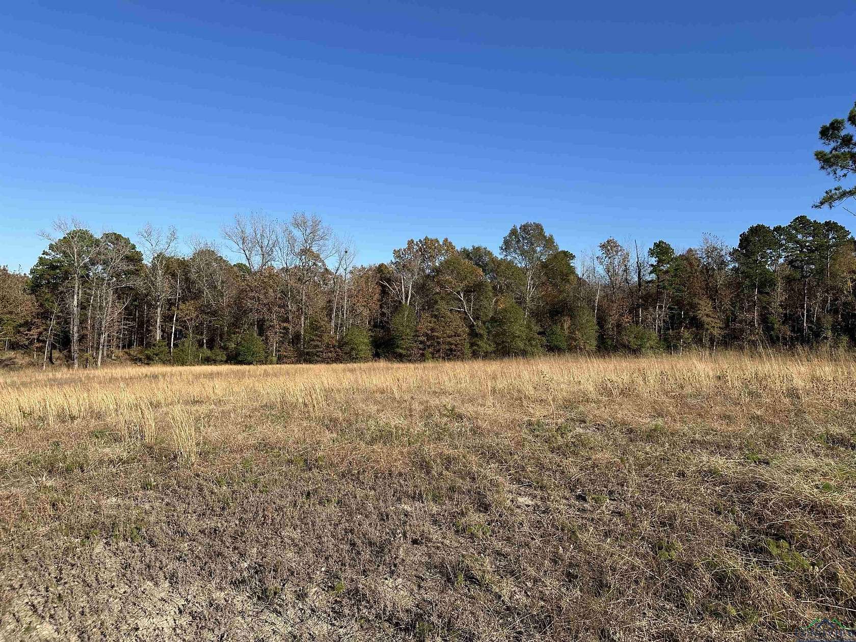 1.68 Acres of Residential Land for Sale in Diana, Texas