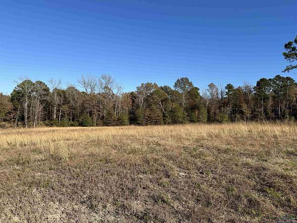 1.68 Acres of Residential Land for Sale in Diana, Texas