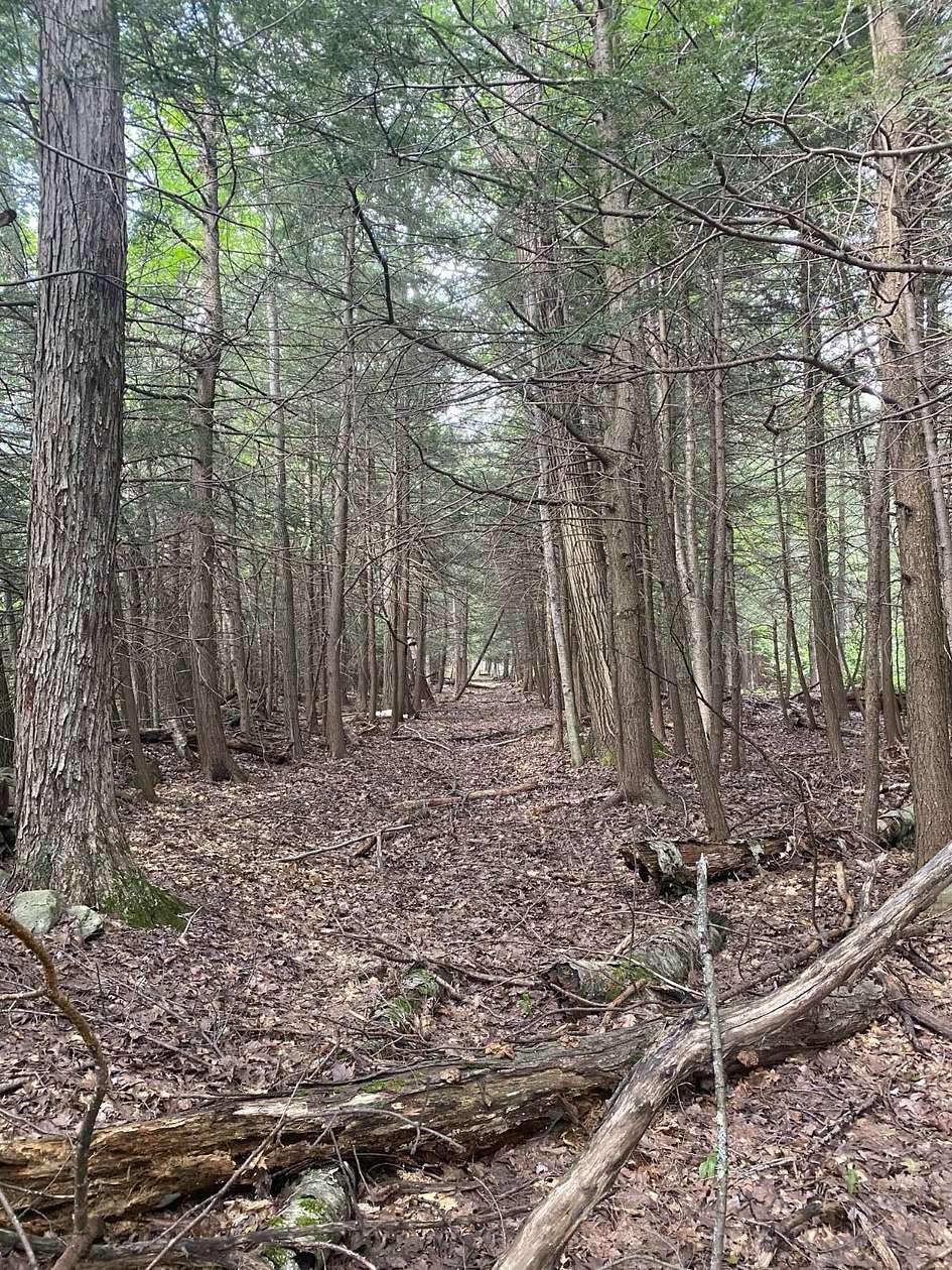 7 Acres of Residential Land for Sale in Jewett, New York