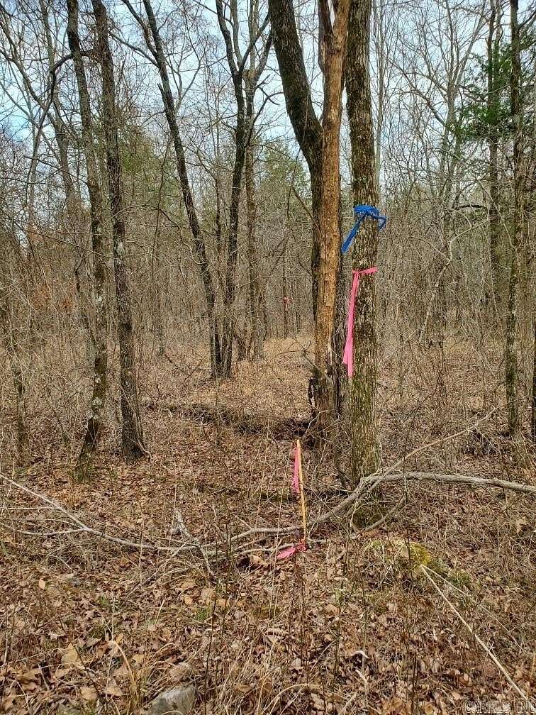 30 Acres of Recreational Land for Sale in Mena, Arkansas
