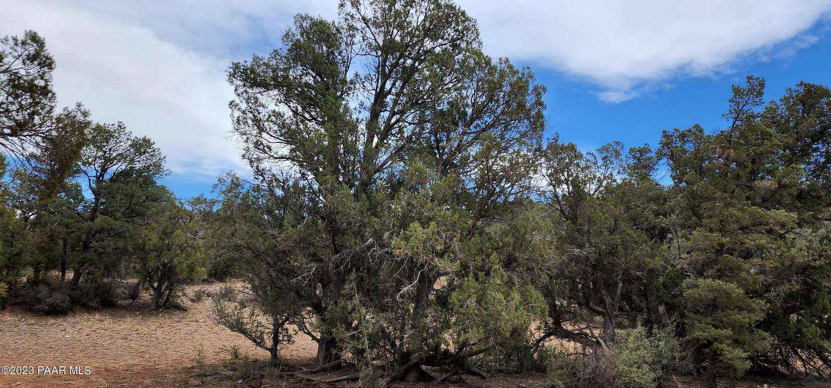 2 Acres of Land for Sale in Williams, Arizona