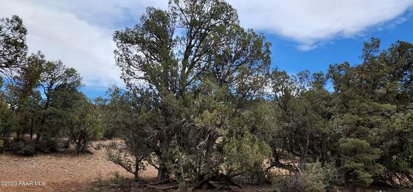 2 Acres of Land for Sale in Williams, Arizona