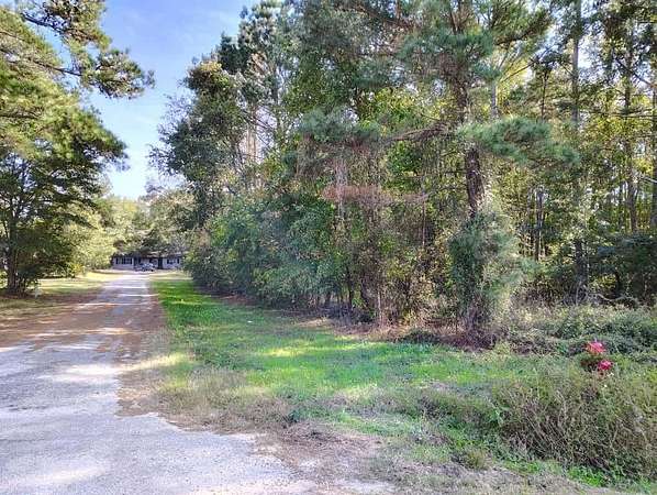 0.25 Acres of Residential Land for Sale in Orangeburg, South Carolina