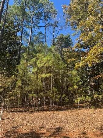 0.66 Acres of Residential Land for Sale in Pine Mountain, Georgia