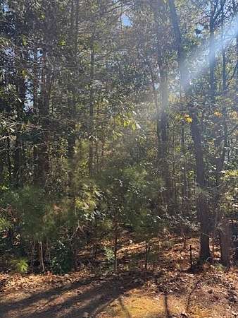 0.79 Acres of Residential Land for Sale in Pine Mountain, Georgia