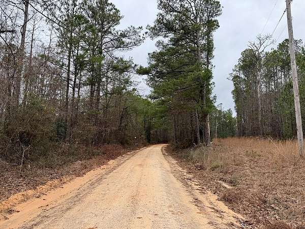 183 Acres of Recreational Land for Sale in Clayton, Alabama