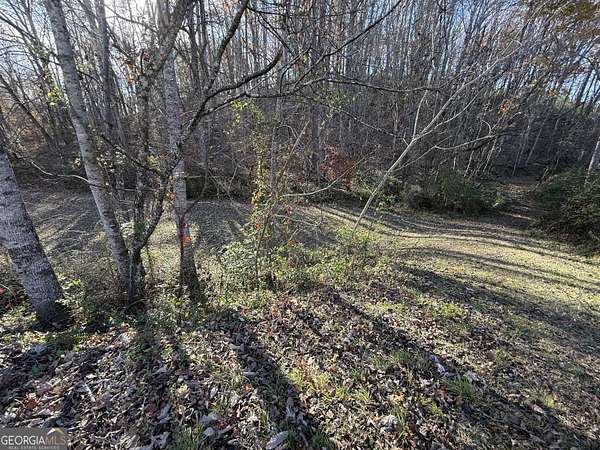 6.4 Acres of Residential Land for Sale in Cleveland, Georgia