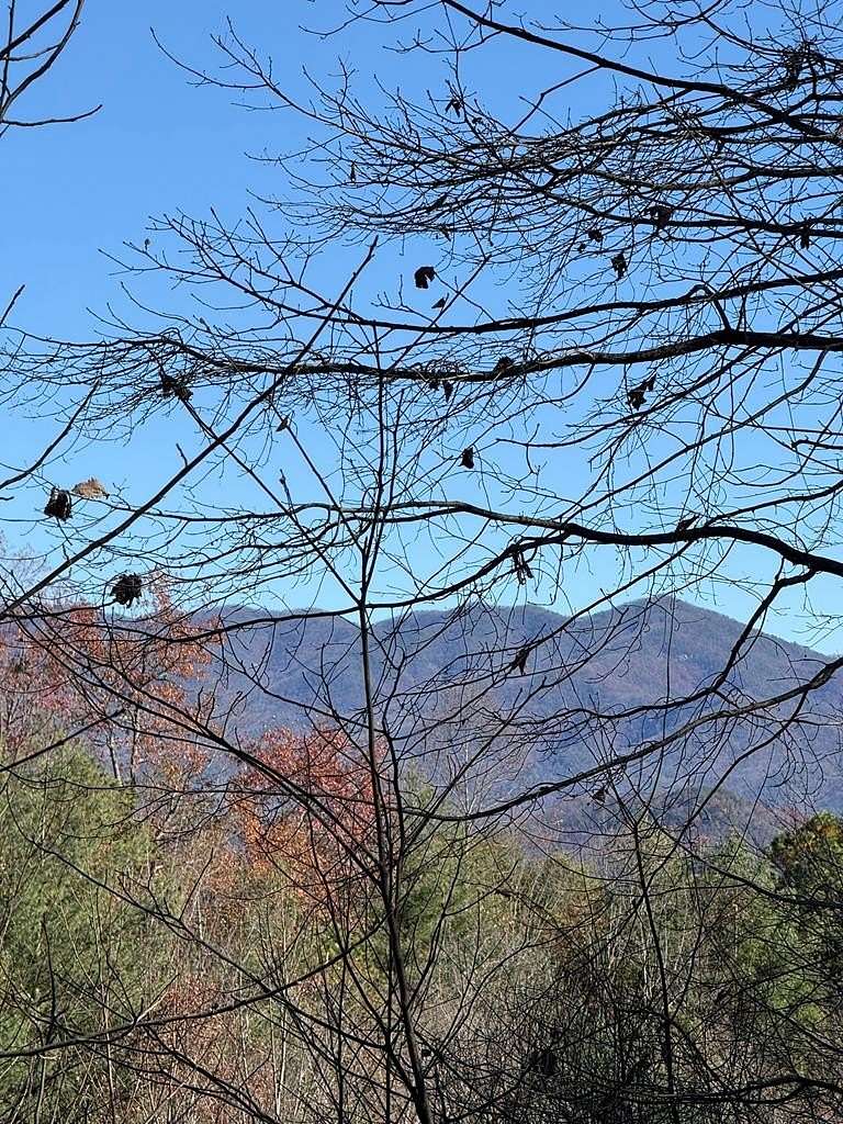 5 Acres of Residential Land for Sale in Andrews, North Carolina