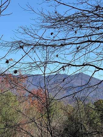 5 Acres of Residential Land for Sale in Andrews, North Carolina