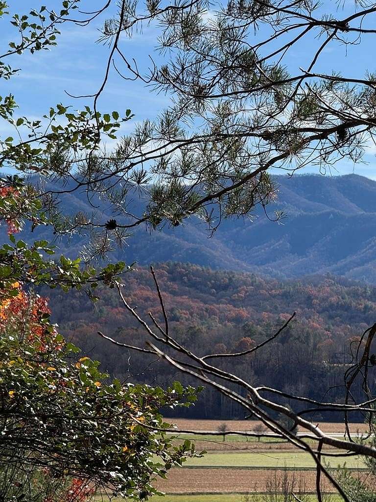 5 Acres of Residential Land for Sale in Andrews, North Carolina