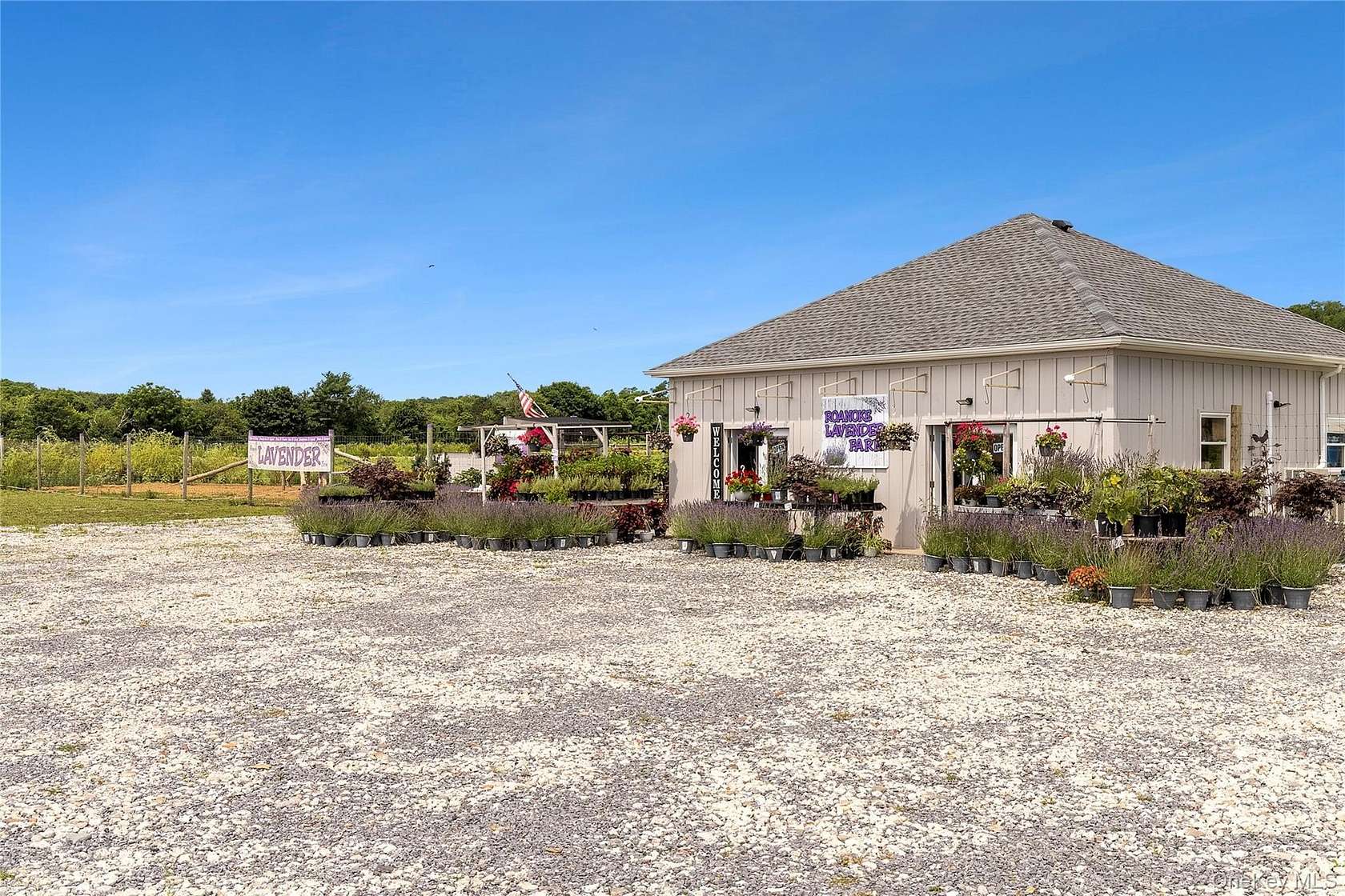 22 Acres of Agricultural Land for Sale in Riverhead, New York