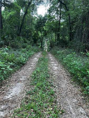 0.28 Acres of Residential Land for Sale in Citra, Florida