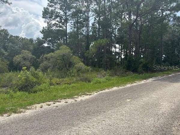 0.25 Acres of Residential Land for Sale in Dunnellon, Florida