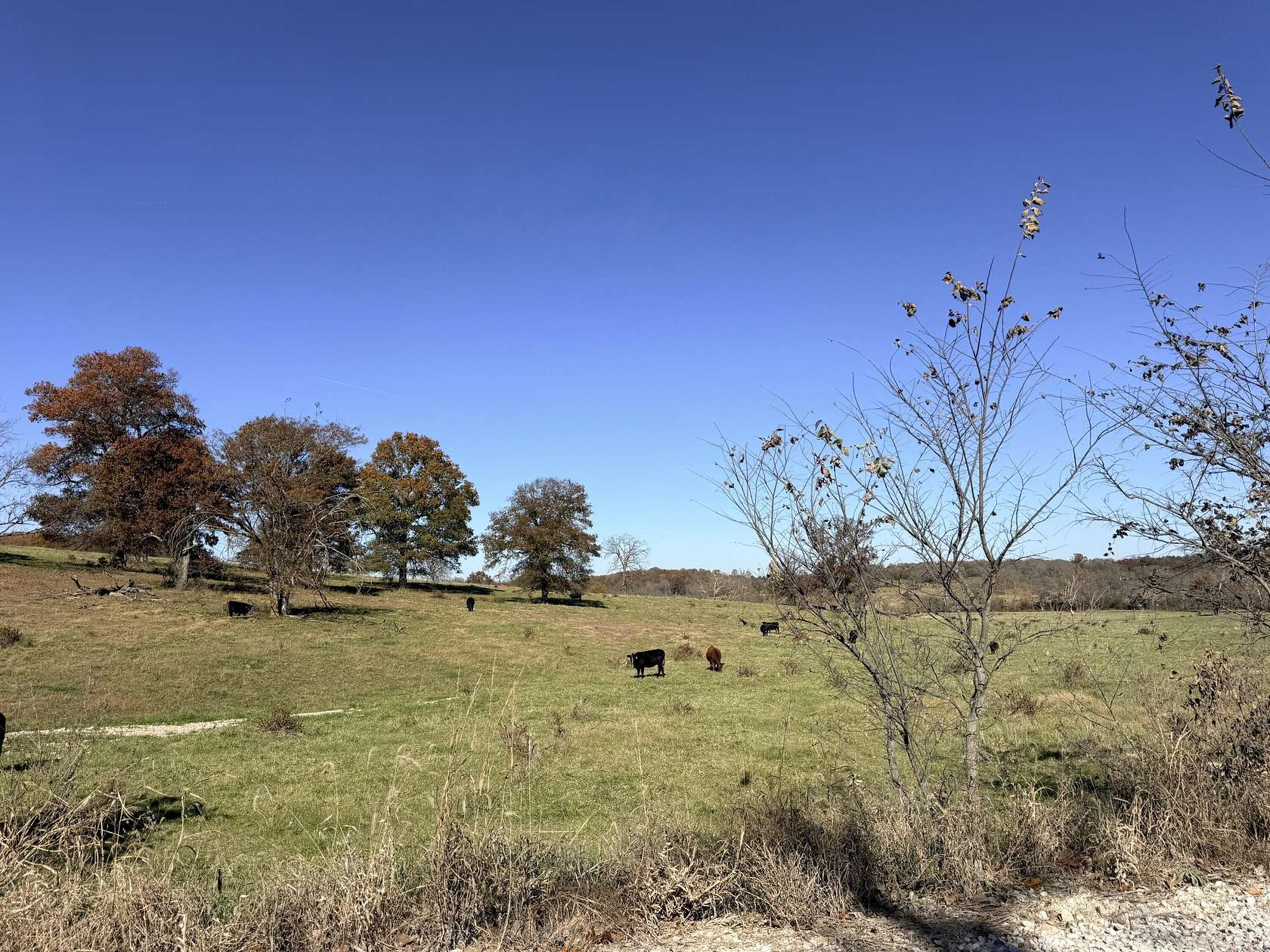 80 Acres of Agricultural Land for Sale in Stockton, Missouri