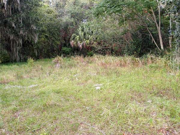 0.36 Acres of Residential Land for Sale in Mims, Florida