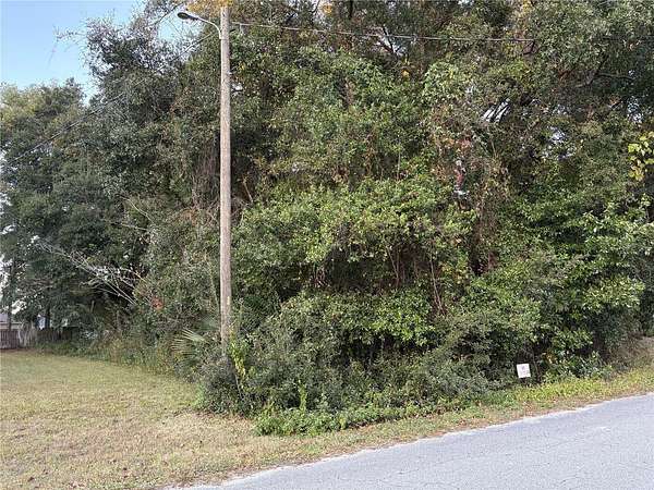0.23 Acres of Residential Land for Sale in Ocala, Florida
