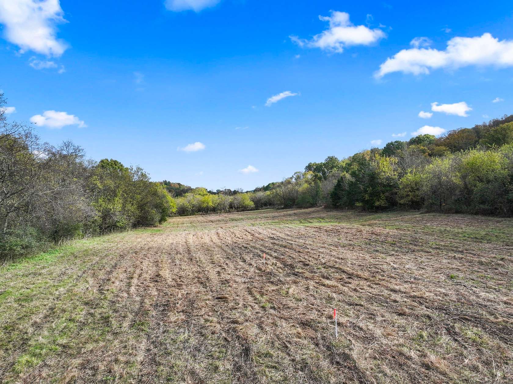 15 Acres of Land for Sale in Carthage, Tennessee