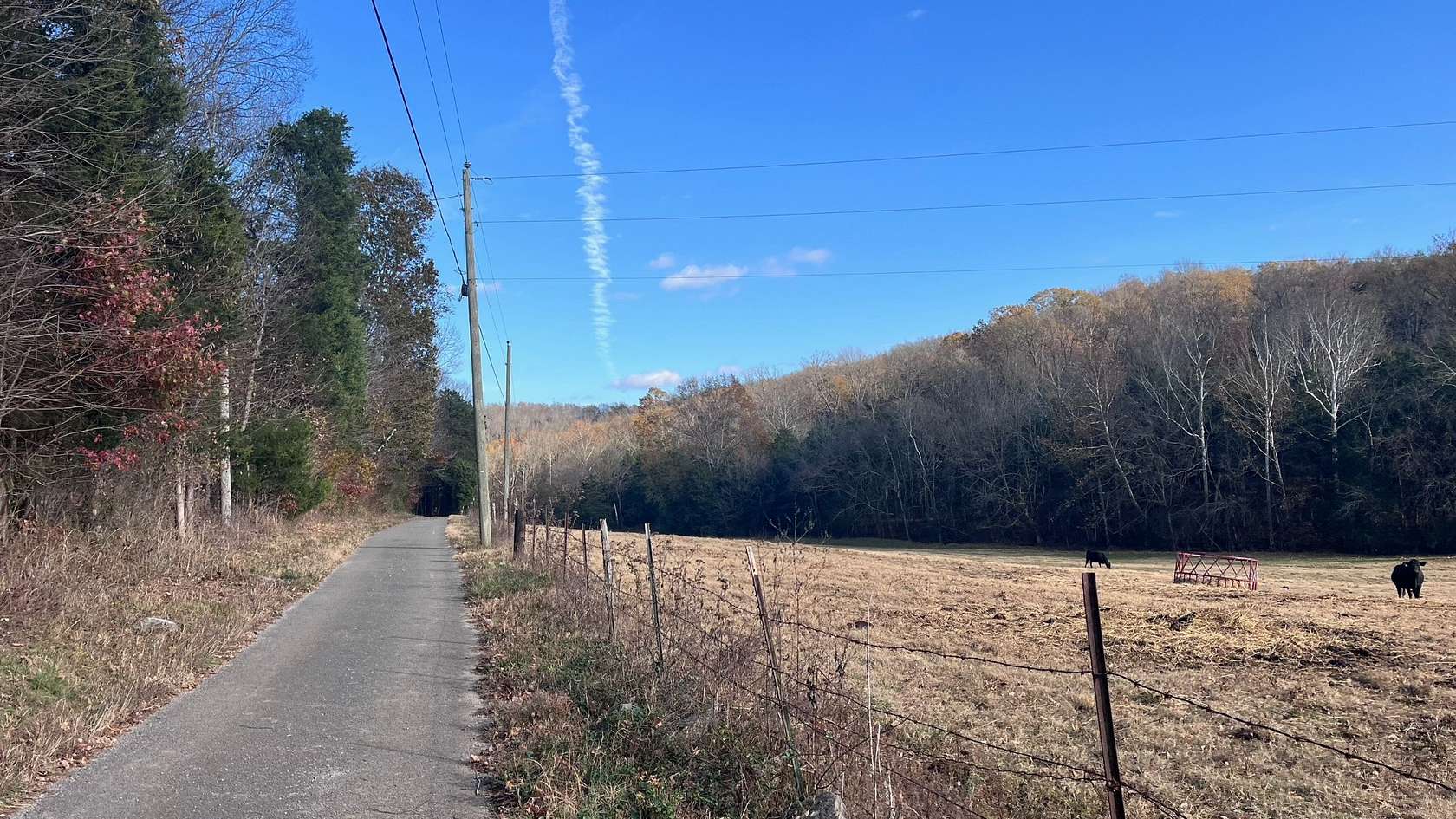 31.8 Acres of Recreational & Residential Land for Sale in Watertown, Tennessee
