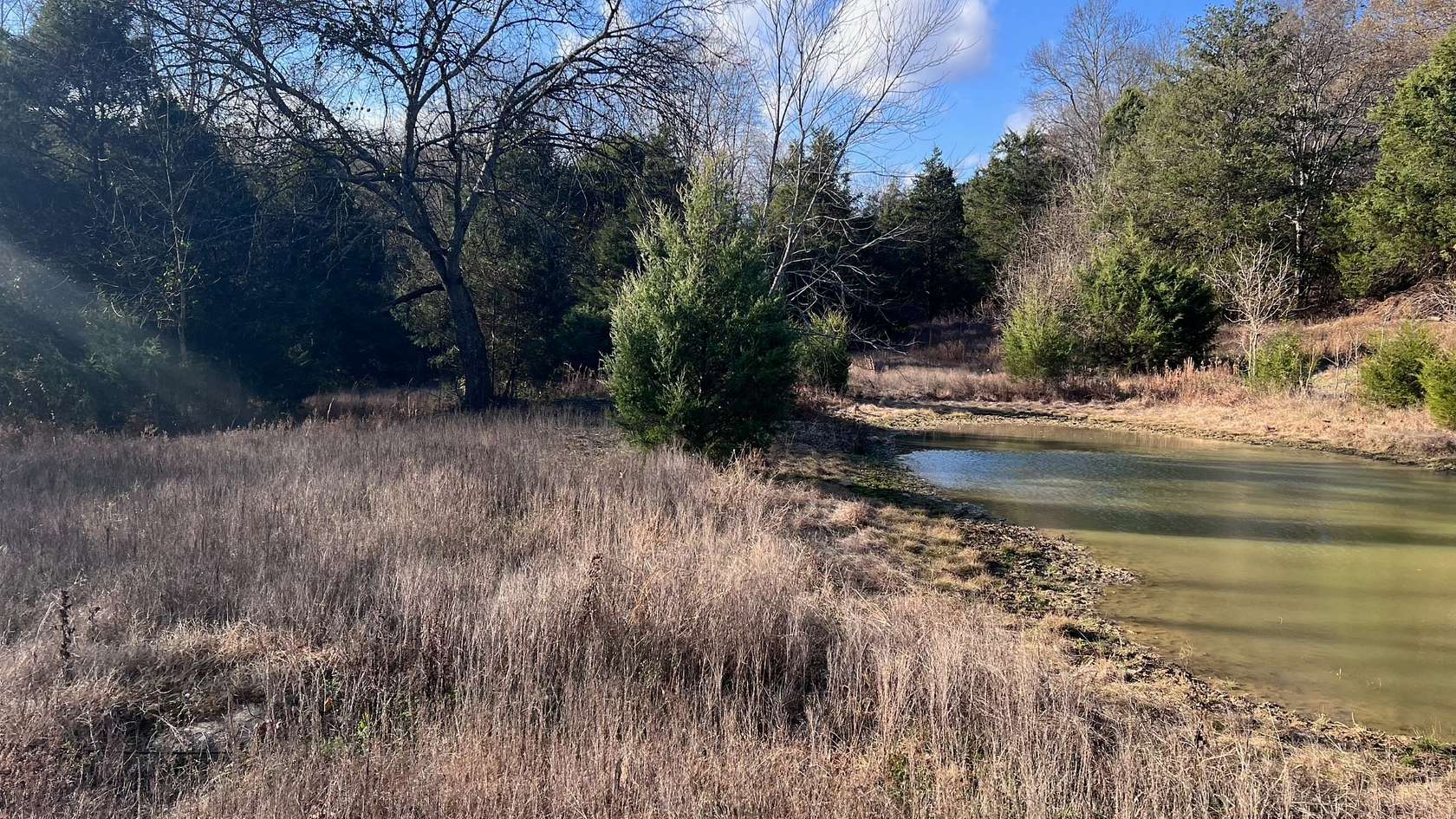 31.8 Acres of Recreational & Residential Land for Sale in Watertown, Tennessee