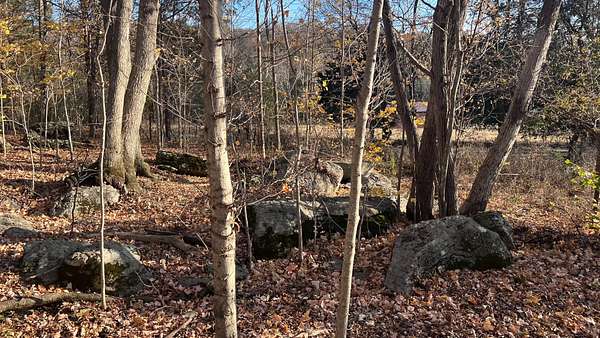 31.8 Acres of Land for Sale in Watertown, Tennessee