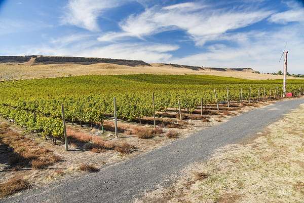 103 Acres of Agricultural Land for Sale in Arlington, Oregon