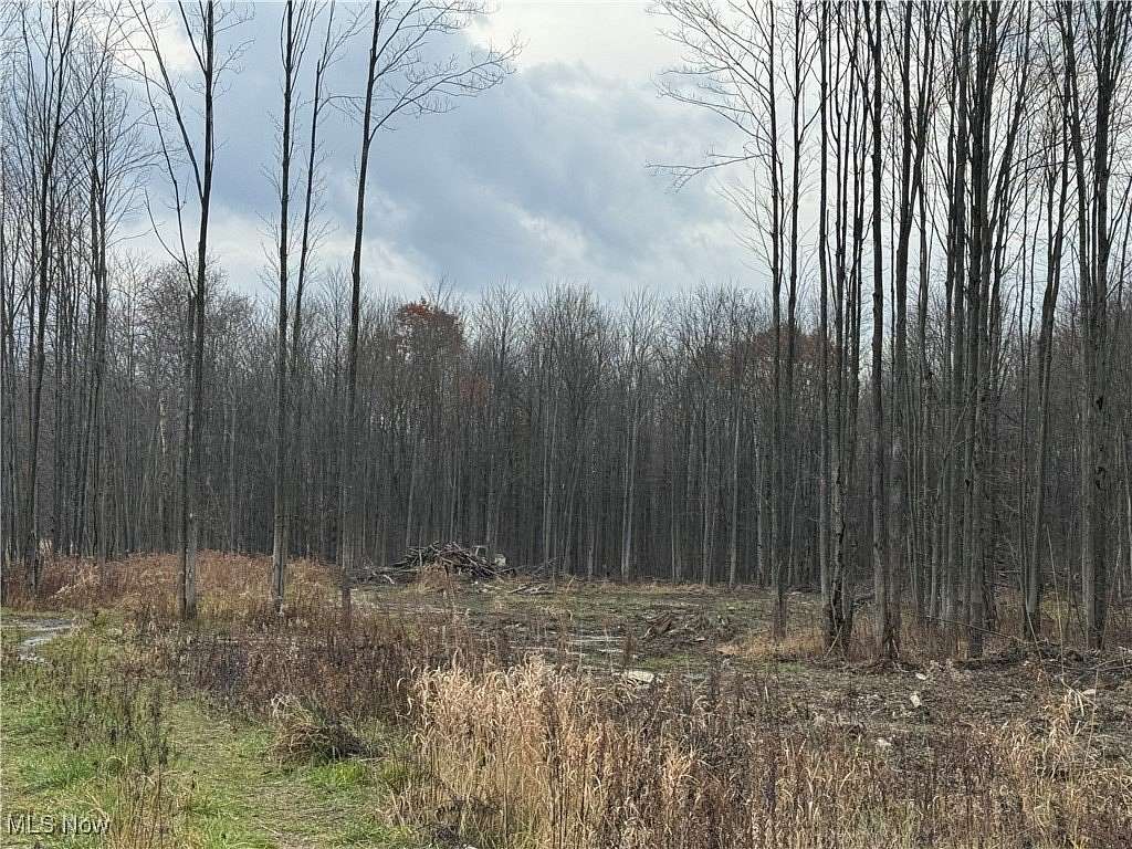 15.1 Acres of Recreational Land for Sale in Conneaut, Ohio