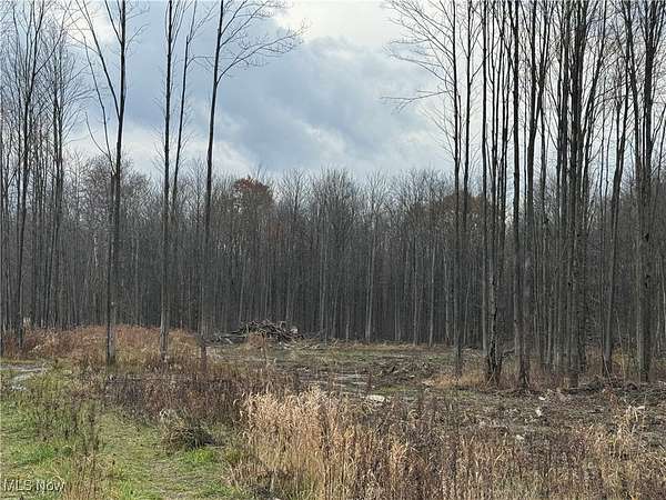 15.1 Acres of Recreational Land for Sale in Conneaut, Ohio
