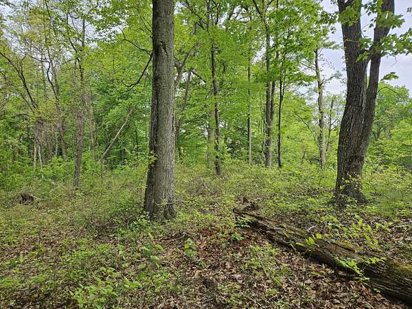 1 Acre of Residential Land for Sale in Covert, Michigan
