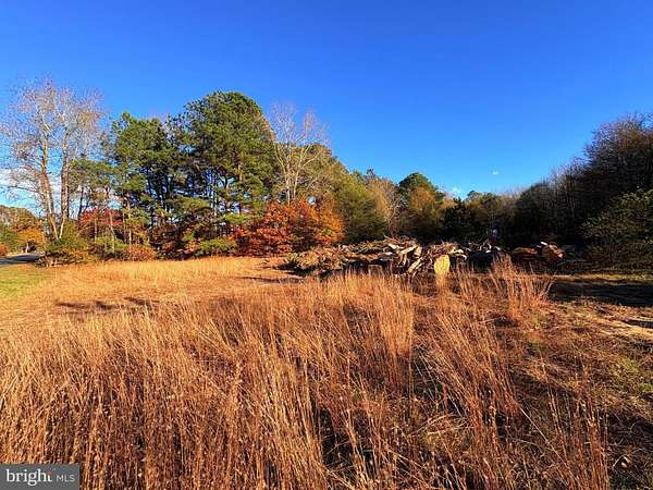 5.42 Acres of Land for Sale in Mardela Springs, Maryland