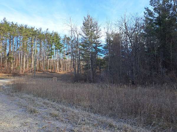 4.53 Acres of Land for Sale in Elmira, Michigan