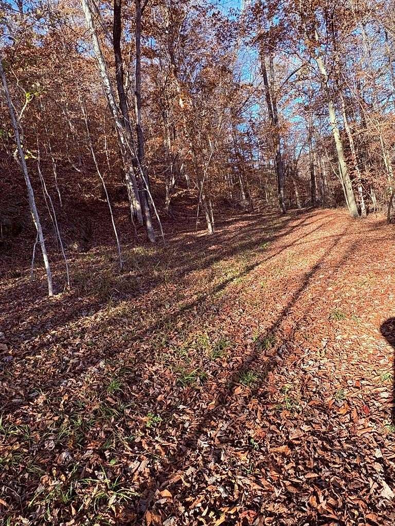 4.8 Acres of Residential Land for Sale in Hagerhill, Kentucky