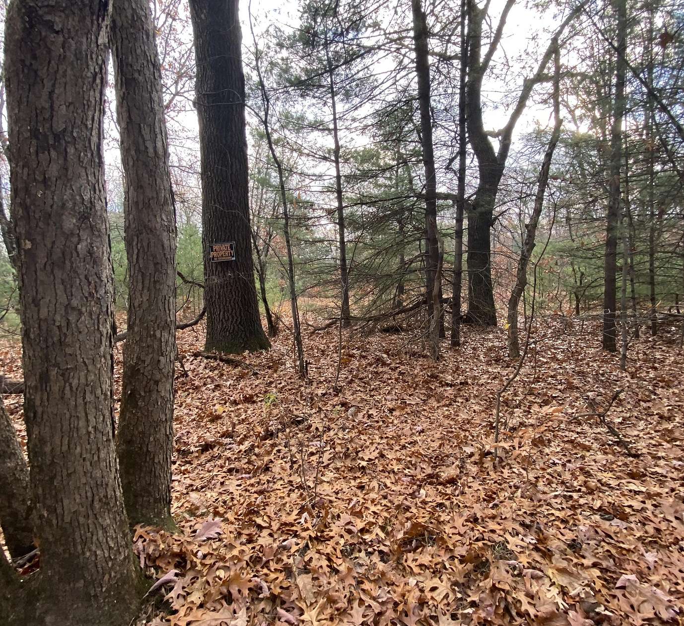 10 Acres of Recreational Land for Sale in Newaygo, Michigan