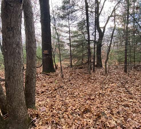 10 Acres of Recreational Land for Sale in Newaygo, Michigan