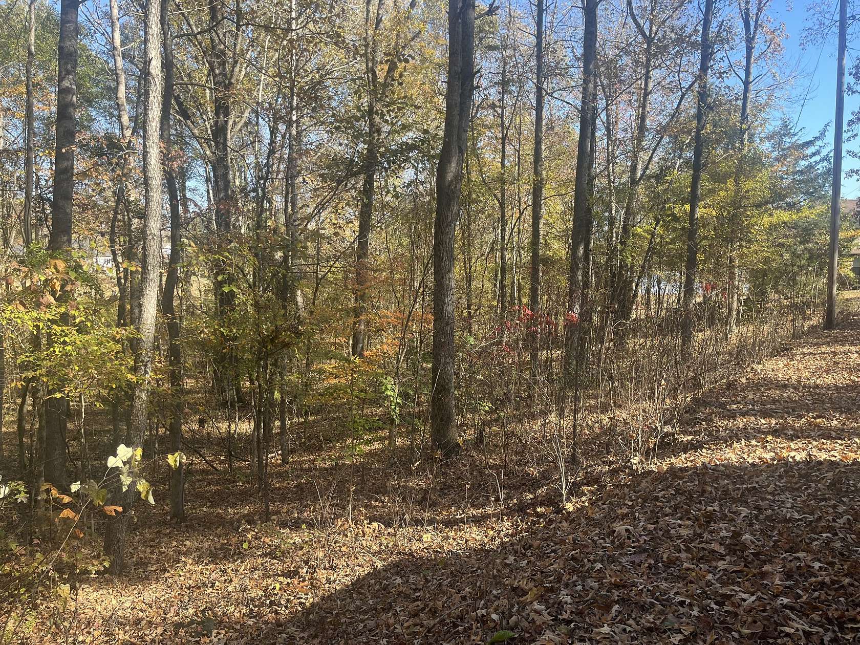 Residential Land for Sale in Parsons, Tennessee
