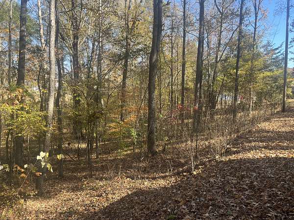 Residential Land for Sale in Parsons, Tennessee