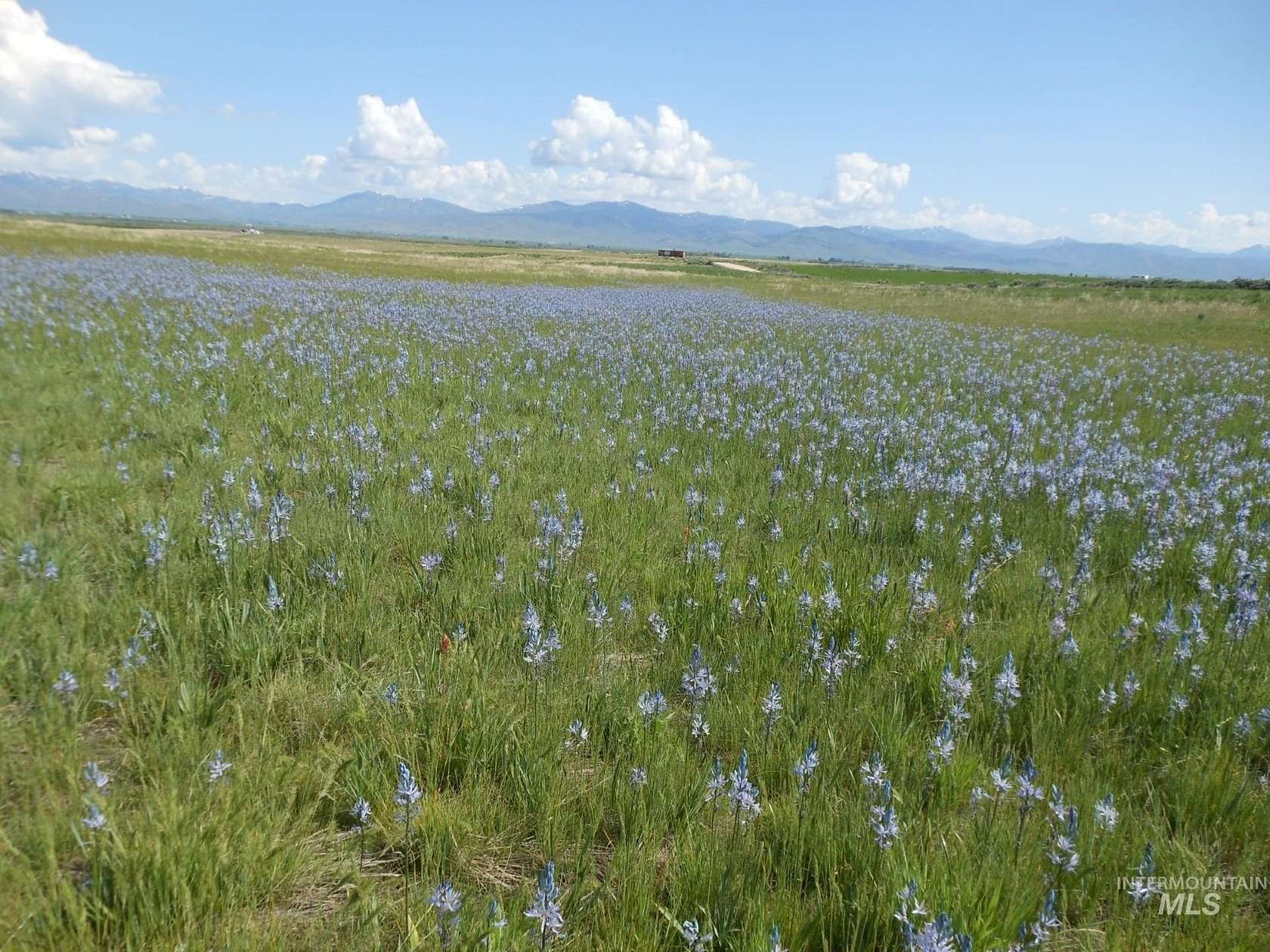 40 Acres of Recreational Land for Sale in Fairfield, Idaho