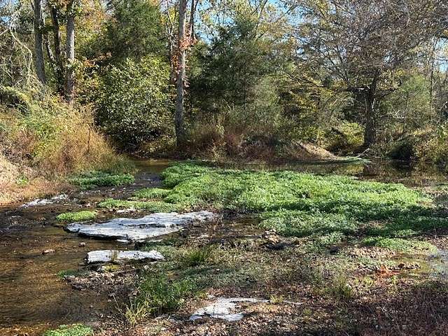 45 Acres of Recreational Land for Sale in Waynesboro, Tennessee